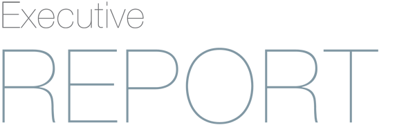 executive report header text